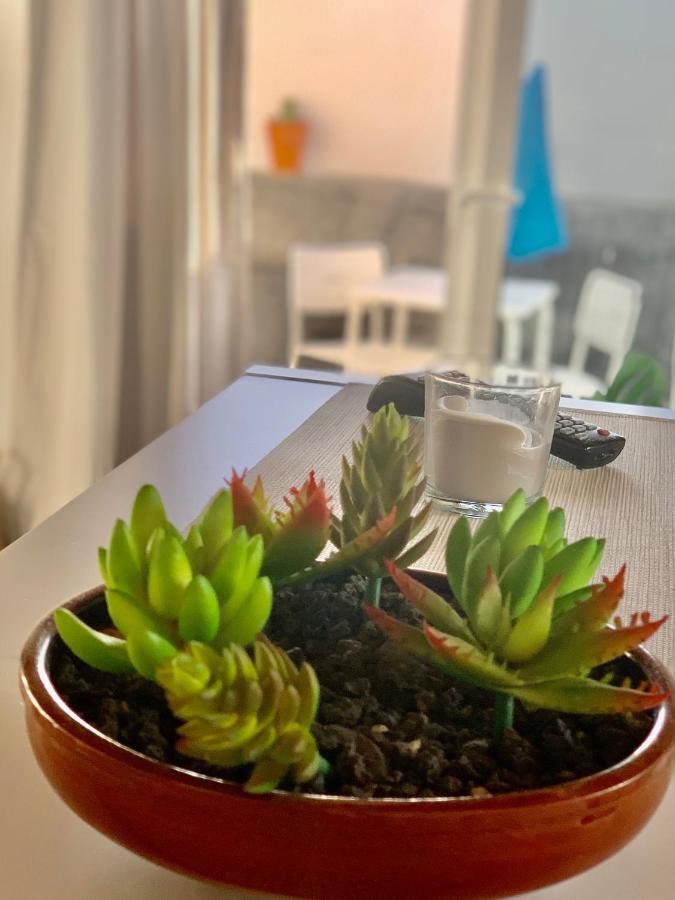 Apartment Loft La Isla *