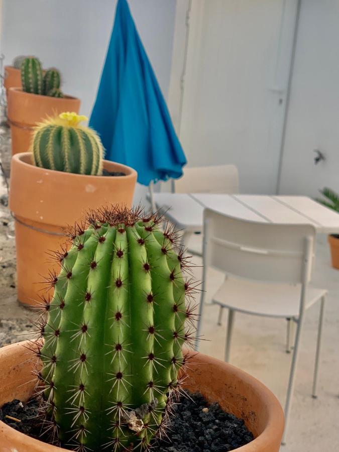 Apartment Loft La Isla Playa Blanca (Lanzarote)